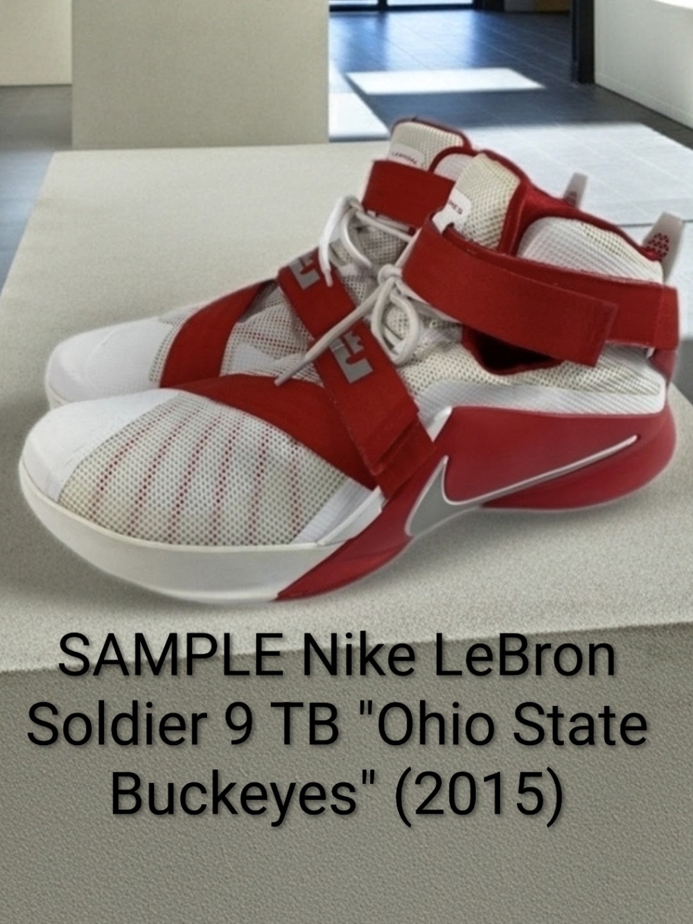 SAMPLE Nike LeBron Soldier 9 TB "Ohio State Buckeyes" SZ 16 Worn Once